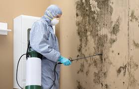 Mold Remediation for Rental Properties in Raeford, NC